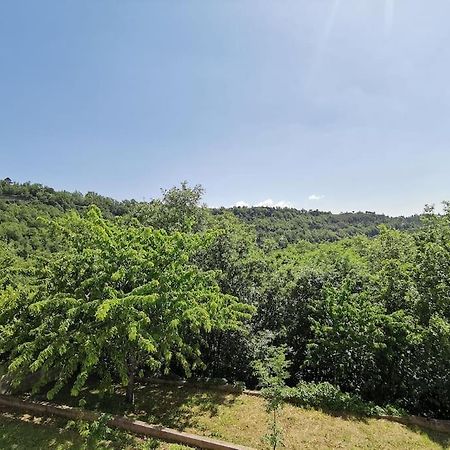 Appartement 2 Ou 4 Personnes. Venaco Венако Экстерьер фото
